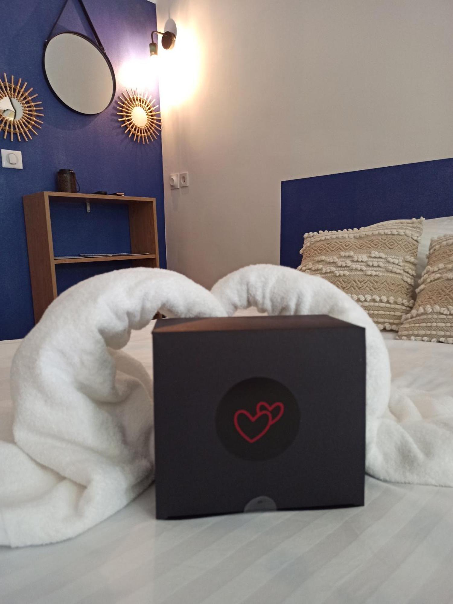 Apartment Cosy, Grand Privatif Et Parking Privee Centre